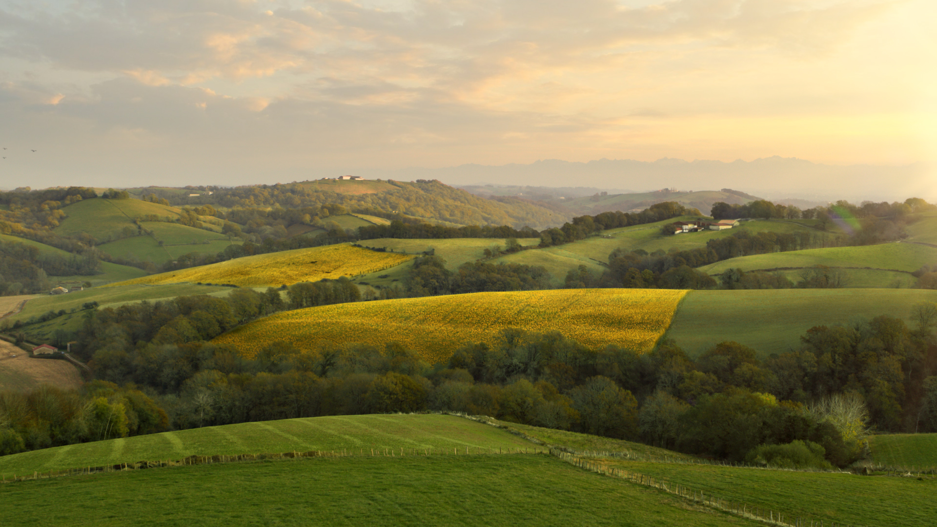 paysage de gascogne